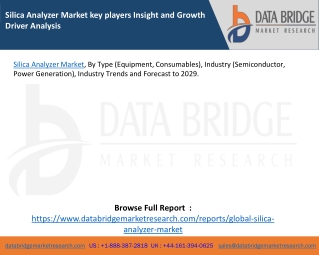 Silica Analyzer Market key players Insight and Growth Driver Analysis