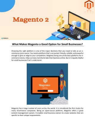 What Makes Magento a Good Option for Small Businesses