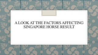 A Look At The Factors Affecting Singapore Horse