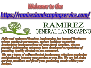 Lawn Maintenance Cary NC