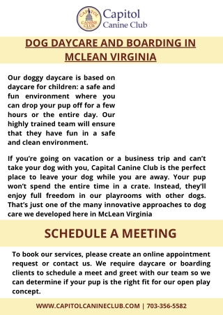 Dog Daycare and Boarding in McLean Virginia