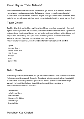 Kanatlı Hayvan Türleri Nelerdir?