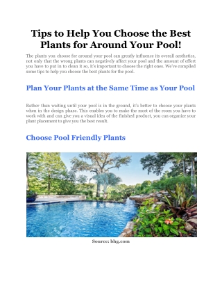 Tips to Help You Choose the Best Plants for Around Your Pool!