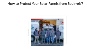 How to Protect Your Solar Panels from Squirrels g Important