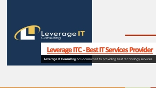 Leverage ITC - Best IT Services Provider