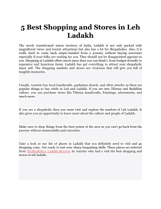5 Best Shopping and Stores in Leh Ladakh