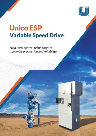 Electric submersible pump system Drive