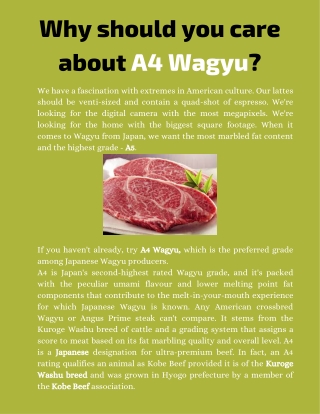 Why should you care about A4 Wagyu (1)