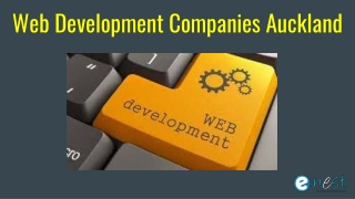 Web Development companies Auckland