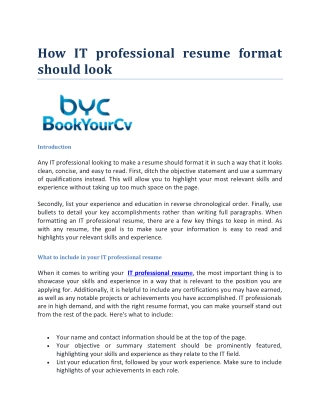 How IT professional resume format should look