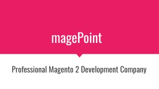 Professional Magento 2 Development Company