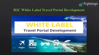 B2C White Label Travel Portal Development