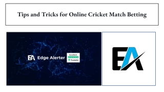 Tips and Tricks for Online Cricket Match Betting