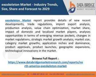 exoskeleton Market Research, Analysis and Outlook, Business research report