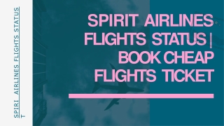 Book Spirit Airlines Ticket with Affordable Price