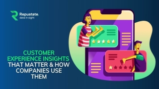 Customer Experience Insights