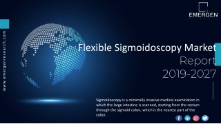 Flexible Sigmoidoscopy Market ppt