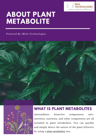 Info About Plant Metabolite With IROA