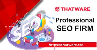 Top Industry Leading professional seo company
