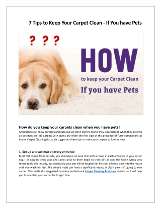 7 Tips to Keep Your Carpet Clean - If You have Pets