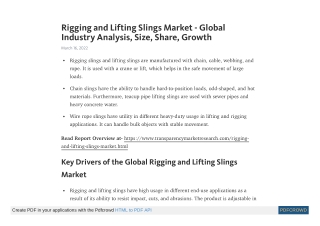 Rigging and Lifting Slings Market Demand and Insights by 2030