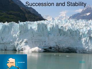 Succession and Stability