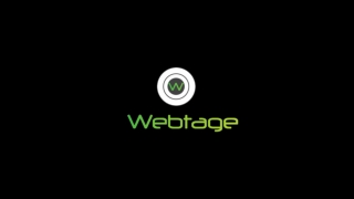 What Influences Your Website's Search Visibility_.pptx