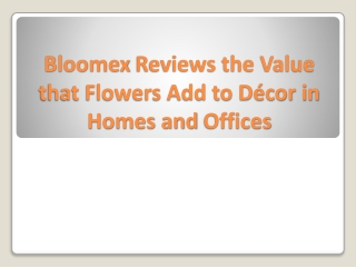 Bloomex Reviews the Value that Flowers Add to Décor in Homes and Offices