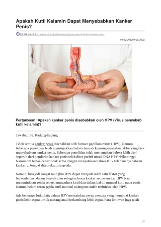 Apakah Kutil Kelamin Dapat Menyebabkan Kanker Penis - klinikkelaminku.com