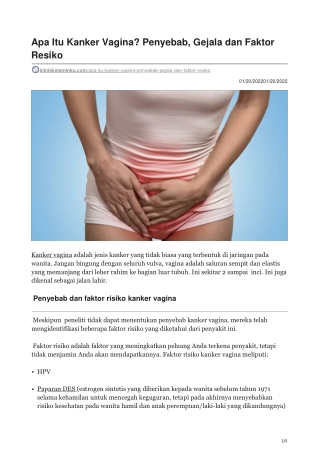 Apa Itu Kanker Vagina Penyebab Gejala dan Faktor Resiko - klinikkelaminku.com