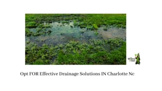 OPT FOR EFFECTIVE DRAINAGE SOLUTIONS IN CHARLOTTE NC