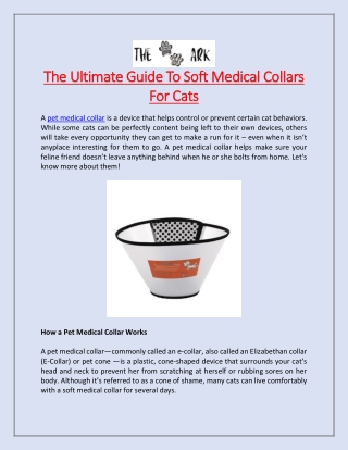The Ultimate Guide To Soft Medical Collars For Cats