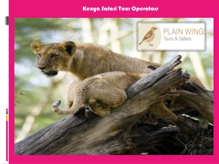 Kenya Safari Tour Operators