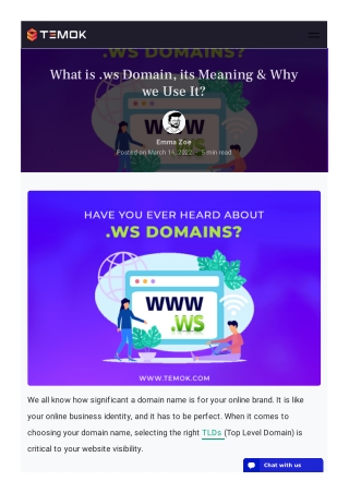 What is .ws Domain, its Meaning & Why we Use It