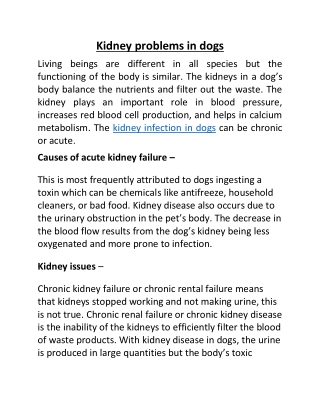 Kidney problems in dogs
