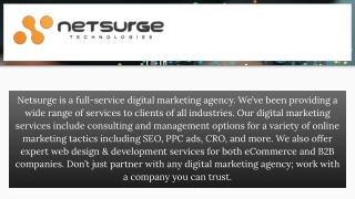 Web Design and Development Services - Netsurge