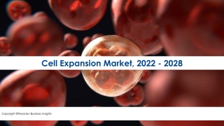 Cell Expansion Market Will Increase Demand In Forecast By 2028