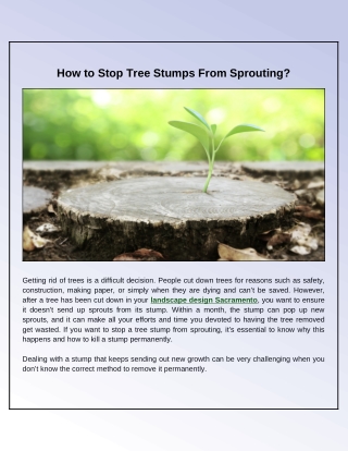 What Effective Ways Stop A Tree Stump from Sprouting?