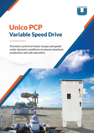 PCP Variable Speed Drive