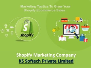 Shopify Ecommerce Marketing- Ecommerce Marketing Strategy