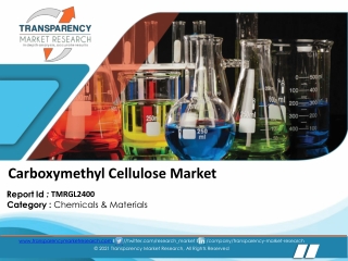 Carboxymethyl Cellulose Market -converted