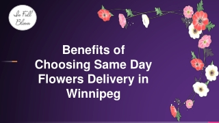 Benefits of Choosing Same Day Flowers Delivery in Winnipeg