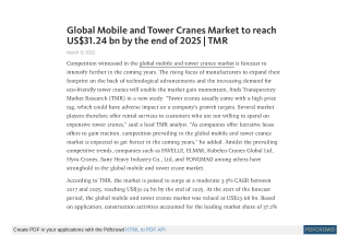 Mobile and Tower Cranes Market Overview 2025