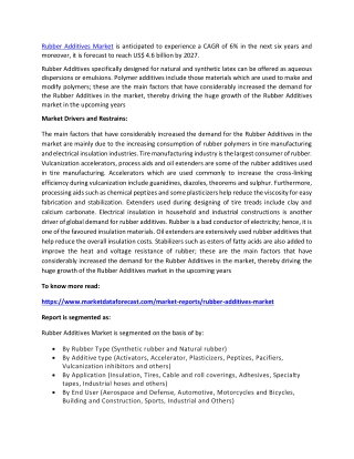 Rubber Additives Market