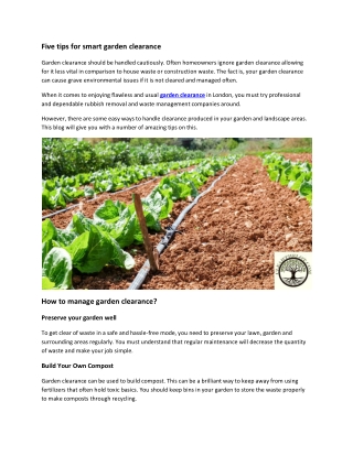 Five tips for smart garden clearance