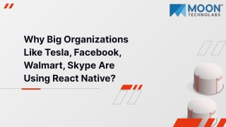 Why Big Organizations Like Tesla, Facebook, Walmart, Skype Are Using React Native_