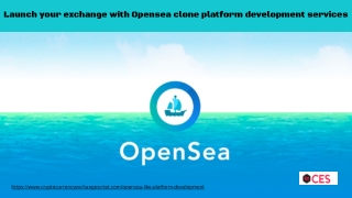 Launch Your Exchange with Opensea Clone