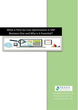 What is Post-Go-Live Optimization in SAP Business One and Why is It Essential?