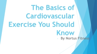 The Basics of Cardiovascular Exercise You Should Know