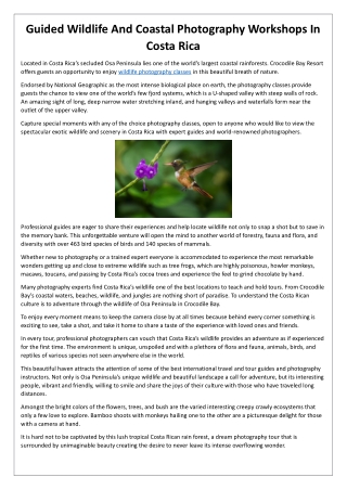 Guided Wildlife And Coastal Photography Workshops In Costa Rica
